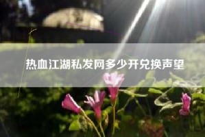 热血江湖私发网多少开兑换声望