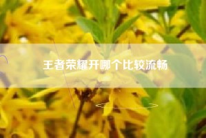 王者荣耀开哪个比较流畅