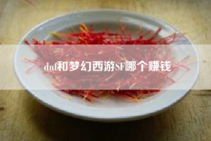 dnf和梦幻西游SF哪个赚钱