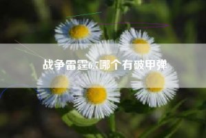 战争雷霆6.7哪个有破甲弹