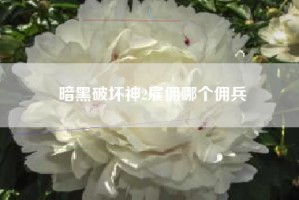 暗黑破坏神2雇佣哪个佣兵