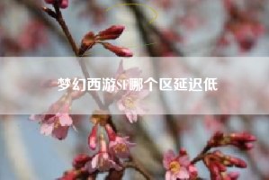 梦幻西游SF哪个区延迟低