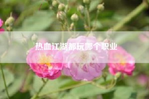 热血江湖都玩哪个职业