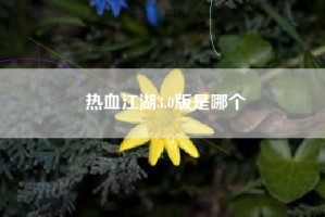 热血江湖3.0版是哪个