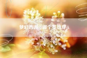 梦幻西游SF哪个英雄穿jk