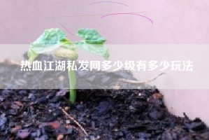 热血江湖私发网多少级有多少玩法