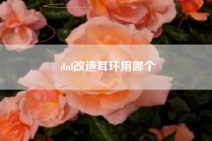 dnf改造耳环用哪个