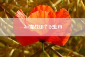 dnf魔战哪个职业带