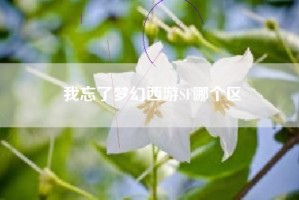 我忘了梦幻西游SF哪个区