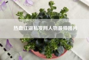 热血江湖私发网人物最帅图片