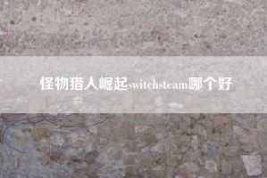 怪物猎人崛起switchsteam哪个好