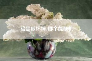 暗黑破坏神2哪个能联机