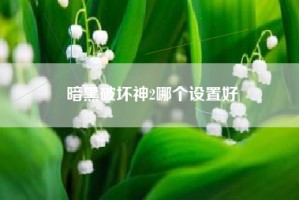 暗黑破坏神2哪个设置好