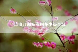 热血江湖私发网多少级圣域