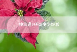 神仙道49升50多少经验