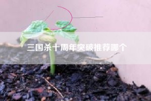 三国杀十周年突破推荐哪个