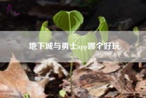 地下城与勇士app哪个好玩