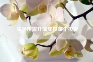 战争雷霆升降舵按哪个按键