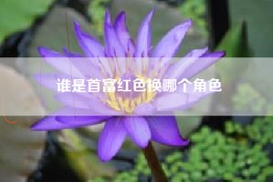 谁是首富红色换哪个角色