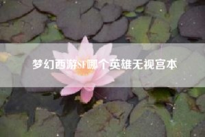 梦幻西游SF哪个英雄无视宫本