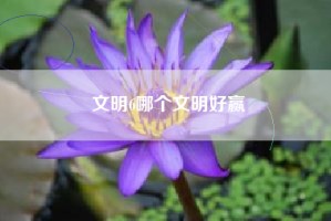 文明6哪个文明好赢