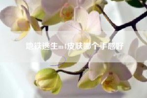 地铁逃生m4皮肤哪个手感好