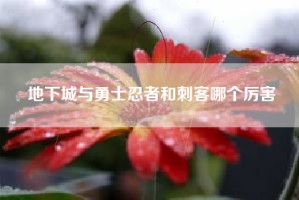 地下城与勇士忍者和刺客哪个厉害