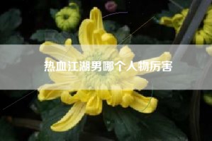 热血江湖男哪个人物厉害