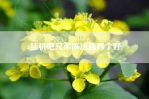 挂机吧兄弟阵法选哪个好