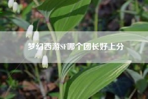 梦幻西游SF哪个团长好上分