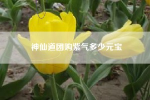 神仙道团购紫气多少元宝