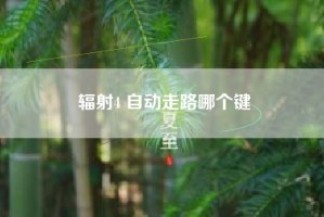 辐射4 自动走路哪个键