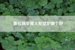 泰拉瑞亚篝火和壁炉哪个好