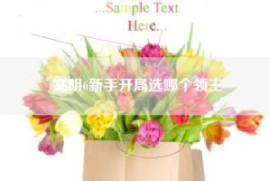 文明6新手开局选哪个领主