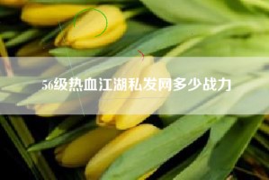 56级热血江湖私发网多少战力