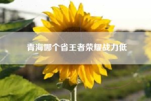 青海哪个省王者荣耀战力低