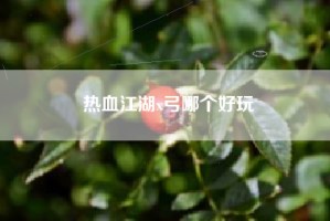 热血江湖x弓哪个好玩