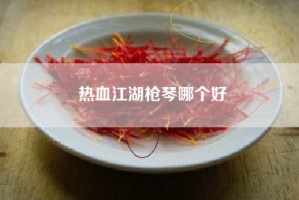 热血江湖枪琴哪个好