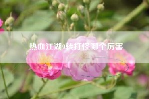 热血江湖9转打怪哪个厉害