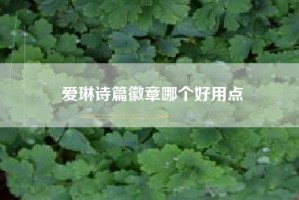 爱琳诗篇徽章哪个好用点