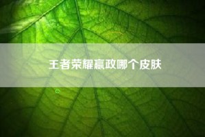 王者荣耀嬴政哪个皮肤