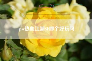 psv热血江湖SF哪个好玩吗