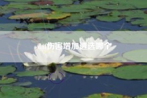 dnf伤害增加遴选哪个