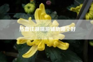 热血江湖端游辅助哪个好