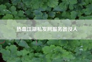 热血江湖私发网服务器没人