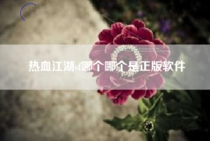 热血江湖sf哪个哪个是正版软件