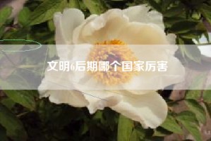 文明6后期哪个国家厉害