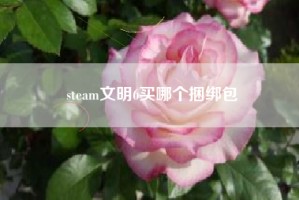 steam文明6买哪个捆绑包