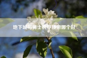 地下城与勇士机甲腰带哪个好