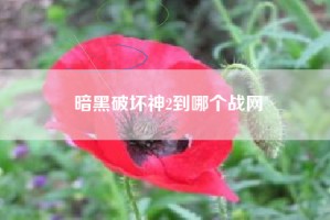 暗黑破坏神2到哪个战网